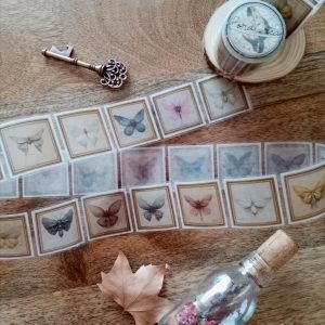 washi mariposas