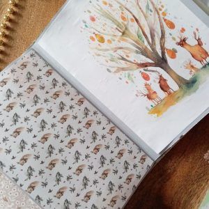 midori cuaderno