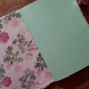 interior cuaderno libélulas