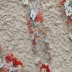 Pet tape Frozen Red Beauty