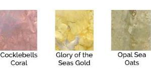 Mermaid Seashells Lindys