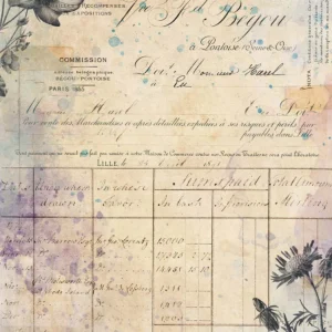 Papel Arroz Herbarium Ledger Botanica Nuneka y Olga Heldwein para 7 dots