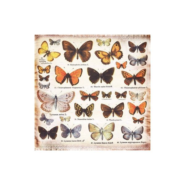 Papeles Scrap Butterfly effect Finnabair para 7 dots 12x12" - Imagen 5