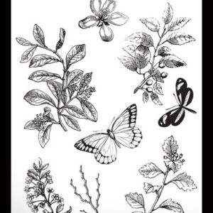 Sello Classic Leaves 6x8 - Katie Pertiet, arden Creative Studio