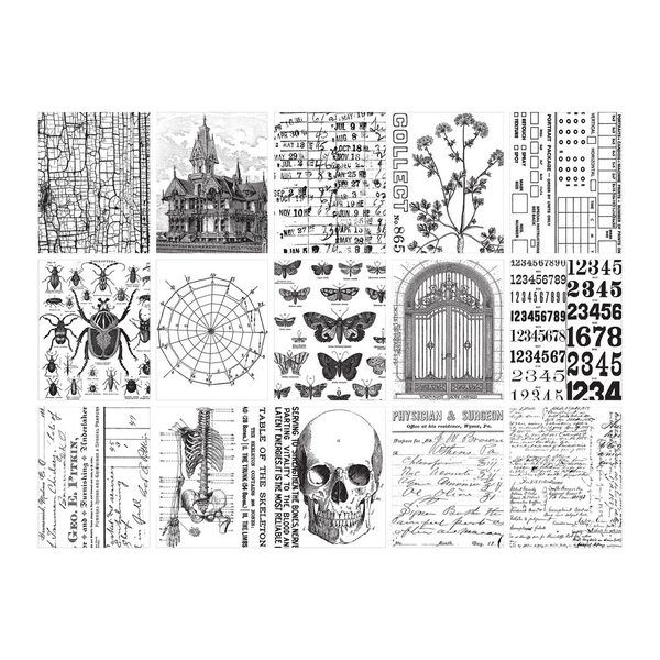 Tim Holtz Halloween papel collage Idea-Ology - Imagen 2